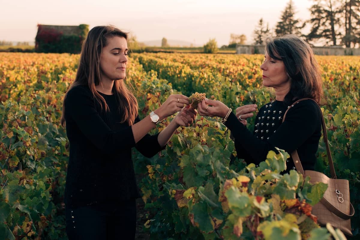 Candid cinematic portrait of a young woman showing grapes to an older woman in a vineyard of Meursault during a warm golden hour sunset.